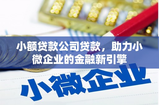 田林小额贷款公司贷款，助力小微企业的金融新引擎