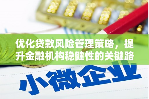 田林优化贷款风险管理策略，提升金融机构稳健性的关键路径
