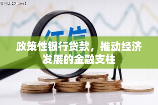 田林政策性银行贷款，推动经济发展的金融支柱