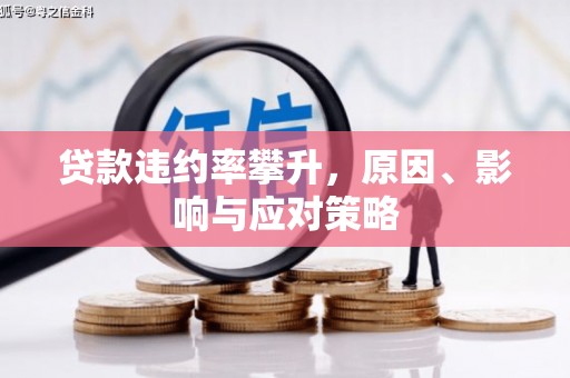 田林贷款违约率攀升，原因、影响与应对策略