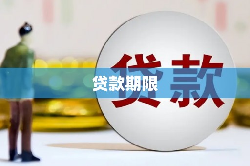 田林贷款期限