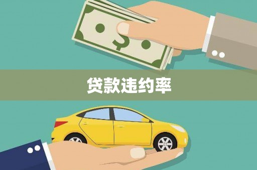 田林贷款违约率