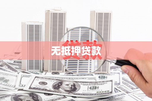 田林无抵押贷款