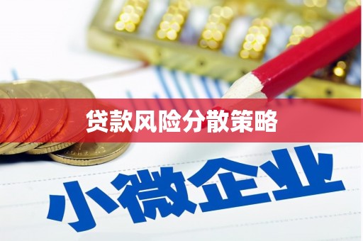 田林贷款风险分散策略