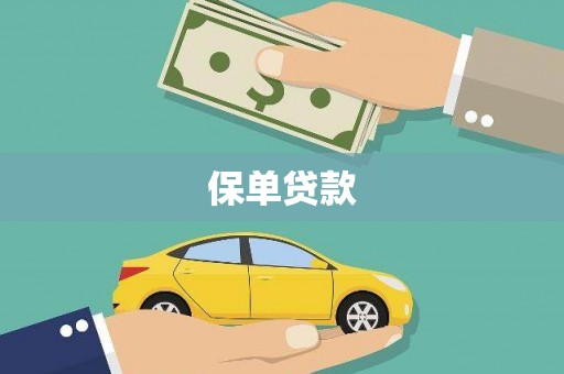 田林保单贷款