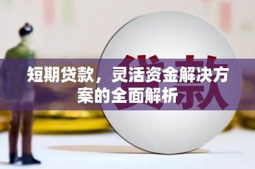 田林短期贷款，灵活资金解决方案的全面解析