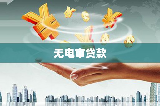 田林无电审贷款