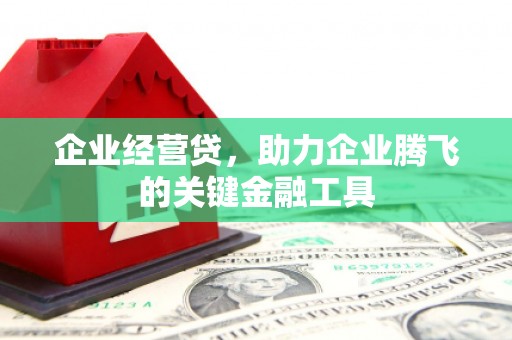 田林企业经营贷，助力企业腾飞的关键金融工具