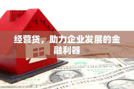 田林经营贷，助力企业发展的金融利器