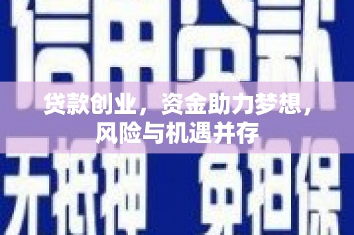 田林贷款创业，资金助力梦想，风险与机遇并存
