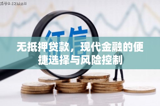田林无抵押贷款，现代金融的便捷选择与风险控制