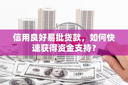 田林信用良好易批贷款，如何快速获得资金支持？