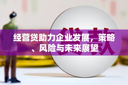 田林经营贷助力企业发展，策略、风险与未来展望