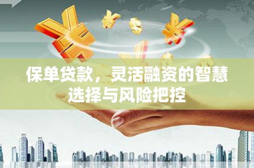 田林保单贷款，灵活融资的智慧选择与风险把控