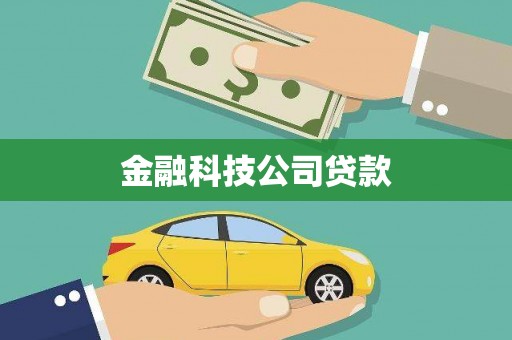 田林金融科技公司贷款
