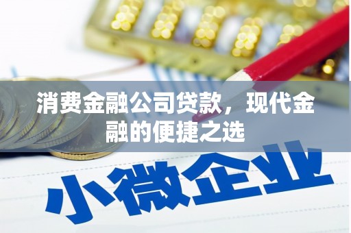 田林消费金融公司贷款，现代金融的便捷之选