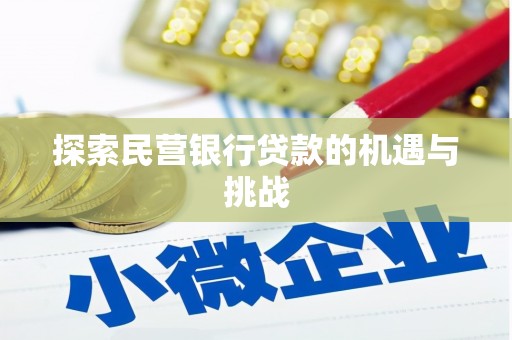 田林探索民营银行贷款的机遇与挑战