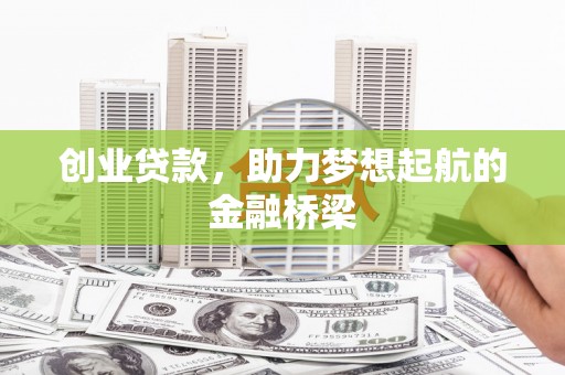 田林创业贷款，助力梦想起航的金融桥梁