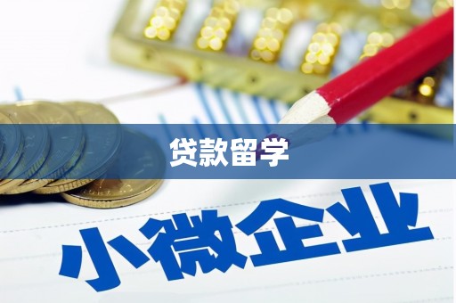 田林贷款留学