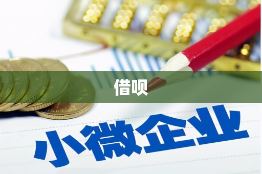 田林借呗
