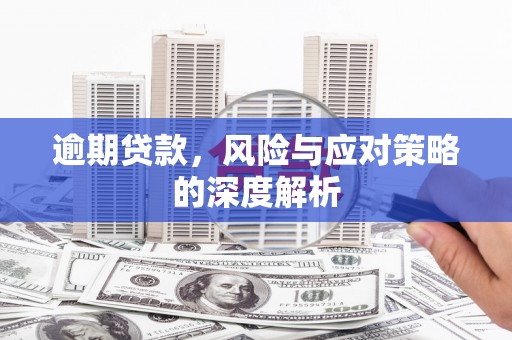 田林逾期贷款，风险与应对策略的深度解析