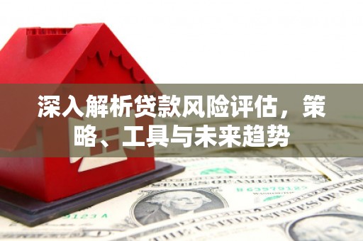 田林深入解析贷款风险评估，策略、工具与未来趋势