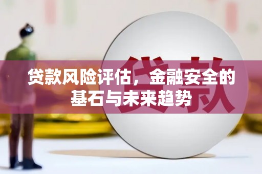 田林贷款风险评估，金融安全的基石与未来趋势