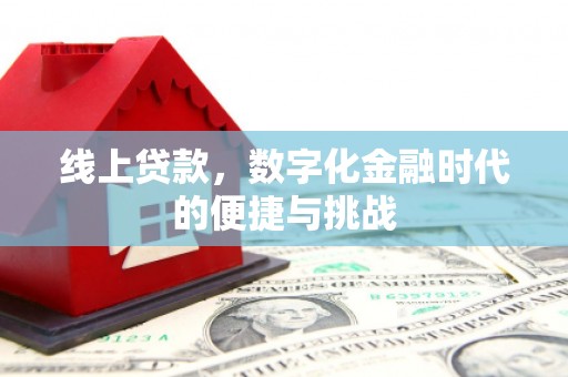田林线上贷款，数字化金融时代的便捷与挑战
