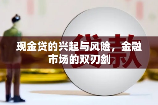 田林现金贷的兴起与风险，金融市场的双刃剑