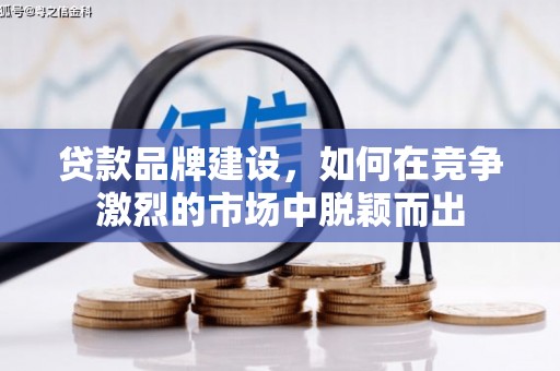 田林贷款品牌建设，如何在竞争激烈的市场中脱颖而出
