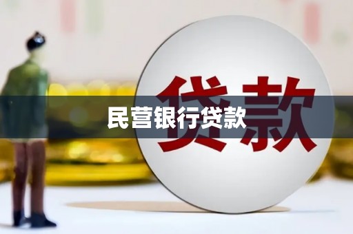 田林民营银行贷款