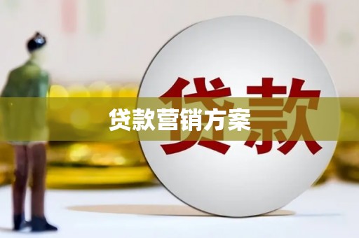 田林贷款营销方案
