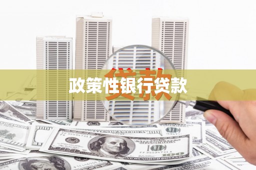 田林政策性银行贷款