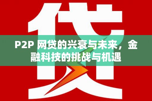 田林P2P 网贷的兴衰与未来，金融科技的挑战与机遇