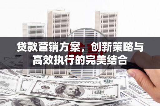 田林贷款营销方案，创新策略与高效执行的完美结合
