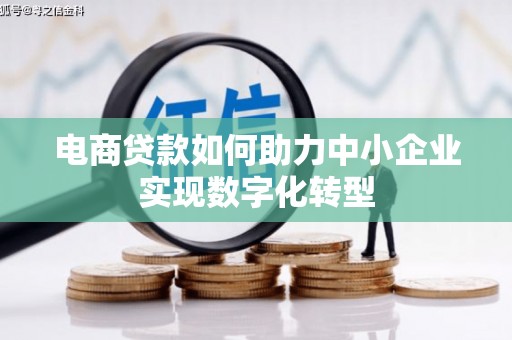 田林电商贷款如何助力中小企业实现数字化转型
