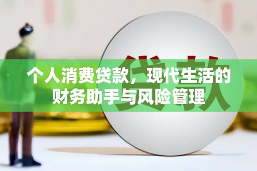 田林个人消费贷款，现代生活的财务助手与风险管理