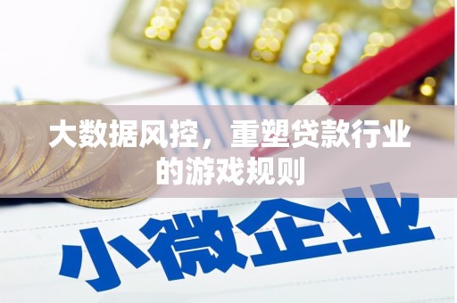 田林大数据风控，重塑贷款行业的游戏规则