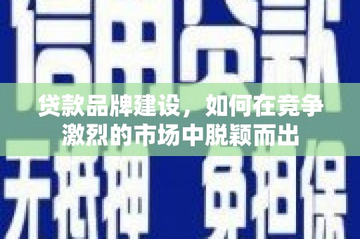 田林贷款品牌建设，如何在竞争激烈的市场中脱颖而出