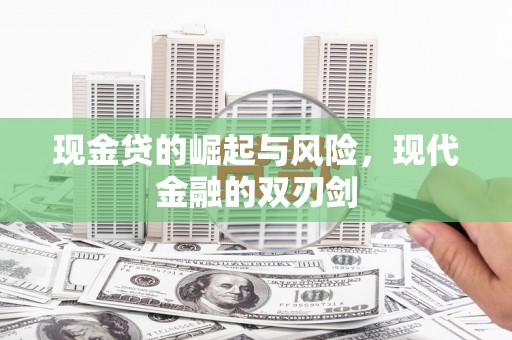 田林现金贷的崛起与风险，现代金融的双刃剑