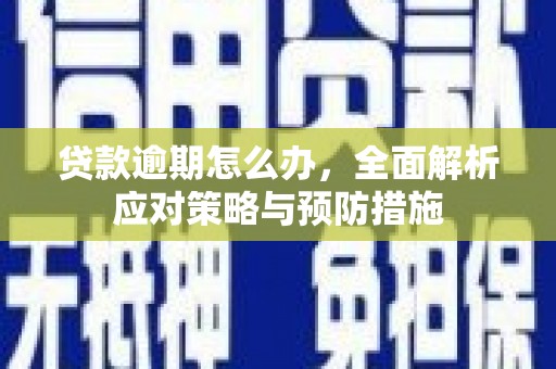 田林贷款逾期怎么办，全面解析应对策略与预防措施