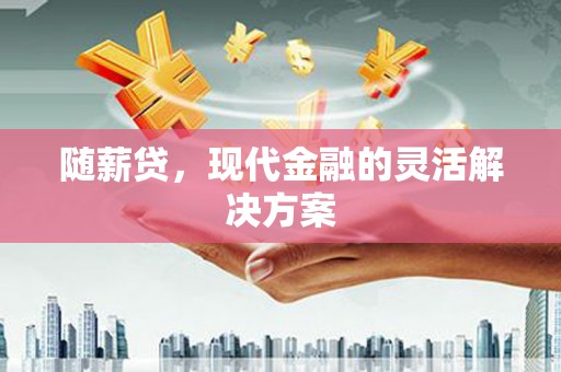 田林随薪贷，现代金融的灵活解决方案