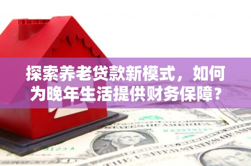 田林探索养老贷款新模式，如何为晚年生活提供财务保障？