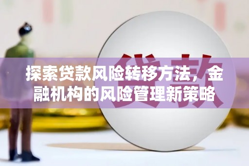 田林探索贷款风险转移方法，金融机构的风险管理新策略