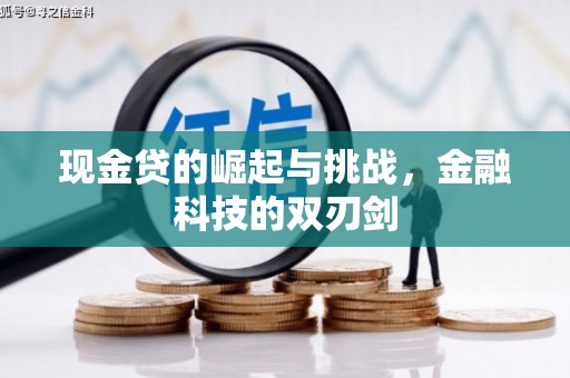 田林现金贷的崛起与挑战，金融科技的双刃剑