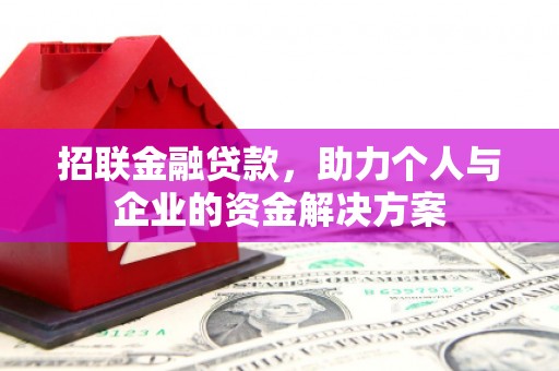 田林招联金融贷款，助力个人与企业的资金解决方案