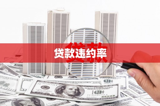 田林贷款违约率