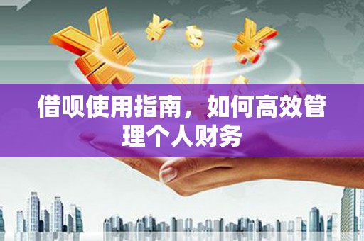 田林借呗使用指南，如何高效管理个人财务