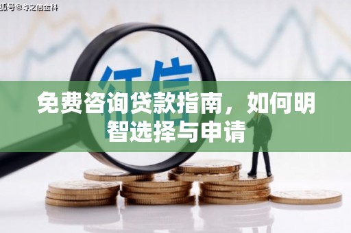 田林免费咨询贷款指南，如何明智选择与申请