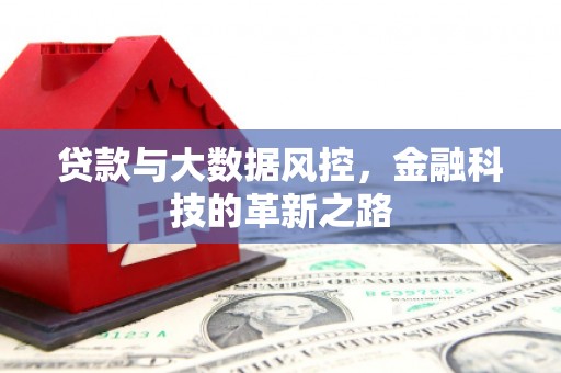 田林贷款与大数据风控，金融科技的革新之路